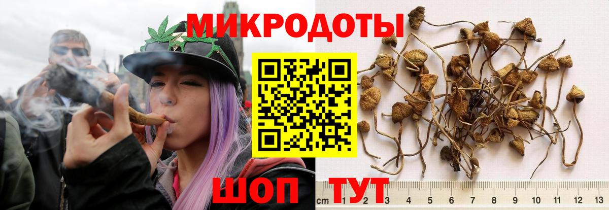 Галлюциногенные грибы GOLDEN TEACHER  Вход с VPN  Саранск 